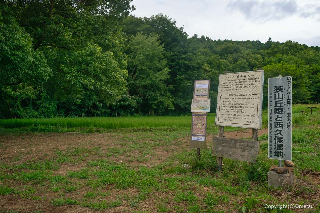 入間市・西久保湿地
