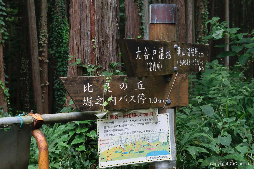 狭山丘陵・比良の丘付近の道標