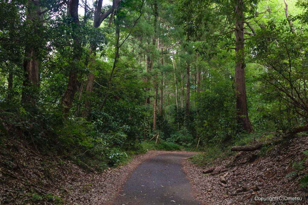 狭山丘陵・比良の丘付近の林道