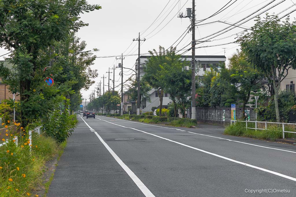 青梅市・若草通り