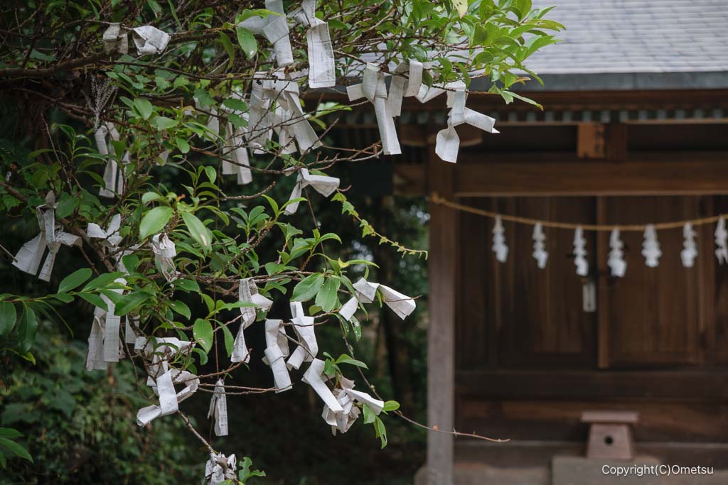 入間・出雲祝神社の境内