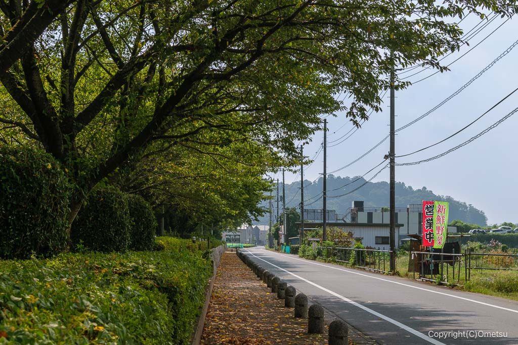 瑞穂斎場付近の通り