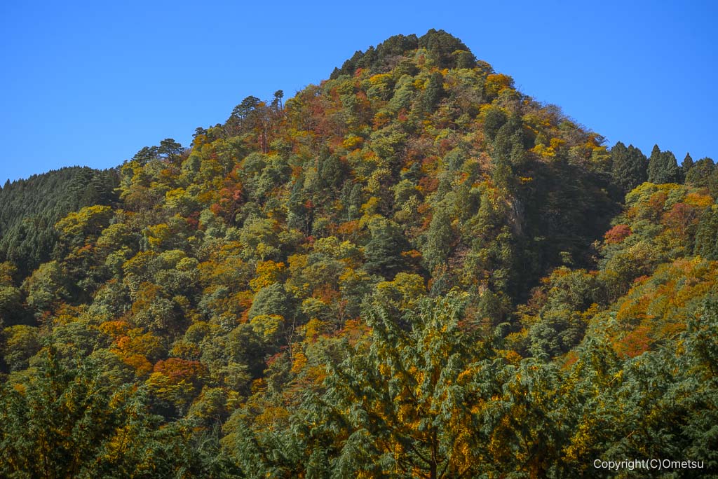 青梅市・御岳山の、長尾平ヘリポートからの奥の院