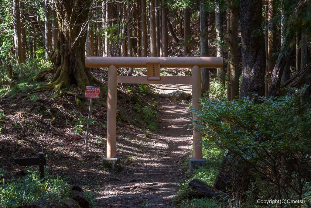 御岳山から日の出山縦走路の、武蔵御嶽神社の鳥居
