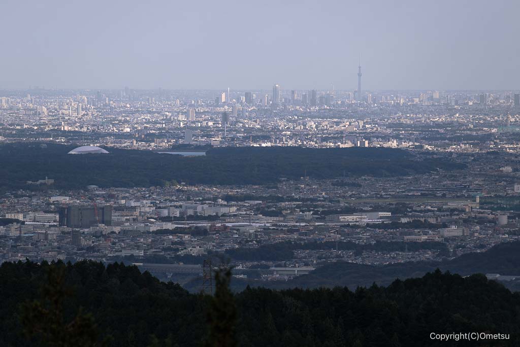 日の出山登山道からの、スカイツリーと都心