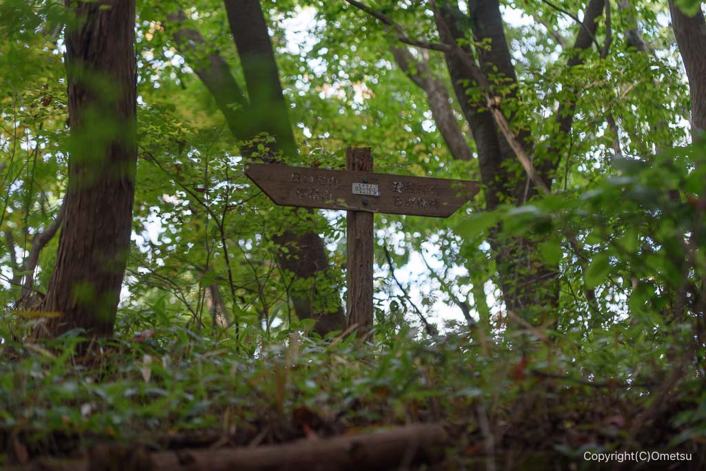 日の出山登山道の道標