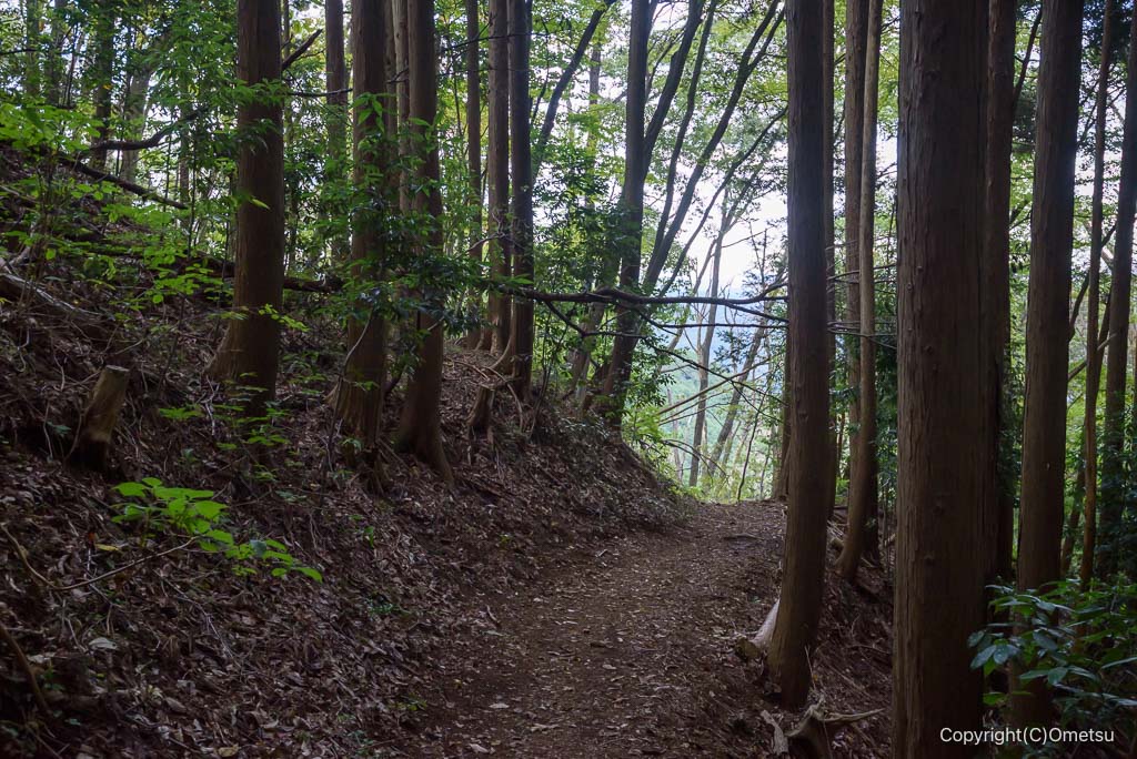 青梅・三室山付近の登山道