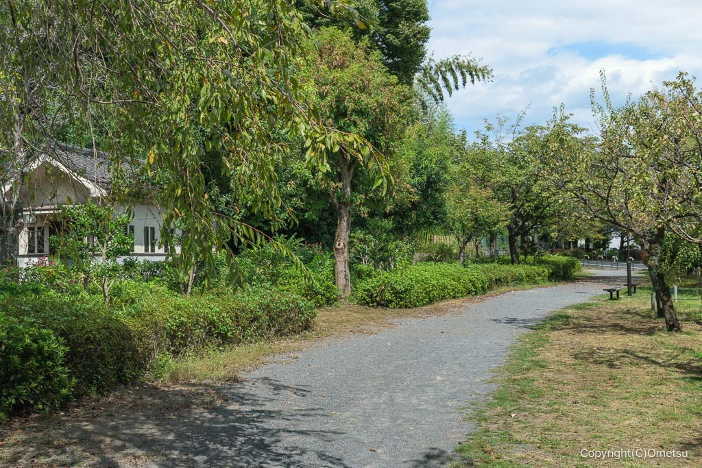 青梅・新町御岳神社近くの遊歩道
