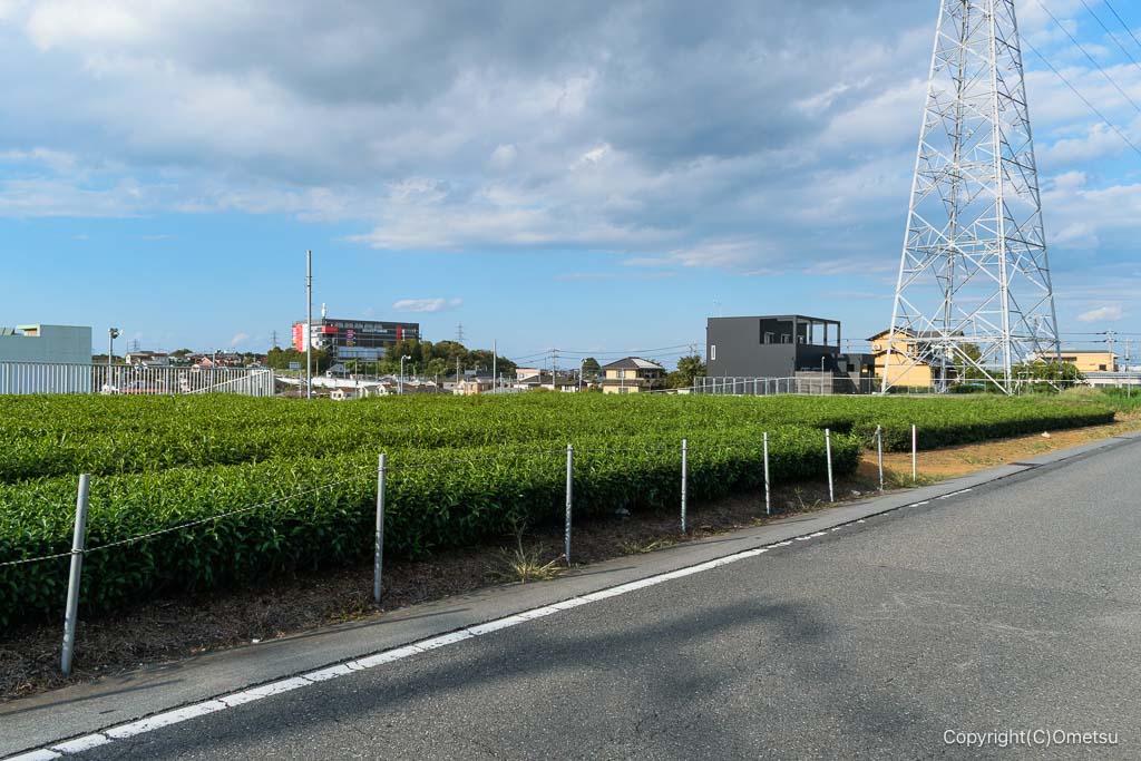 入間市・茶どころ通り