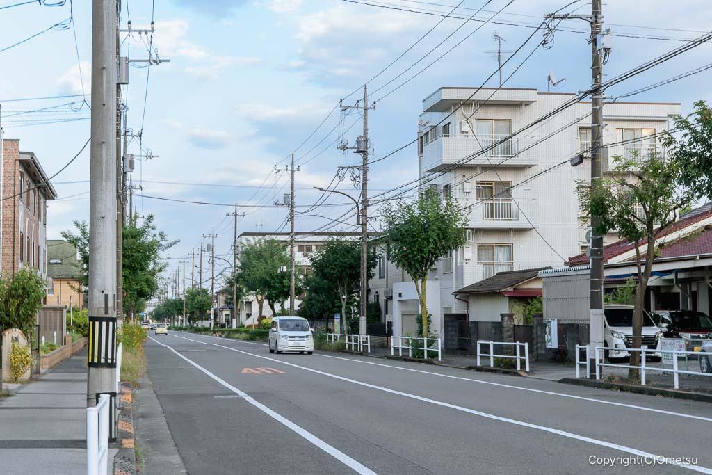青梅市・若草通り
