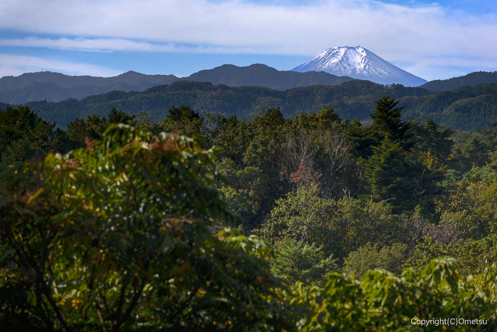青梅・塩船観音寺からの富士山