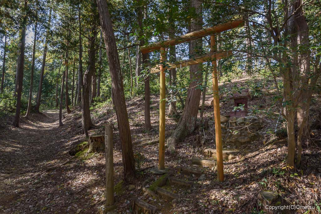 青梅・霞丘陵の、山の神