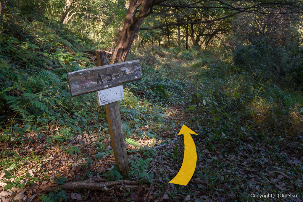 青梅・かわなべ鶏卵農場近くの山道