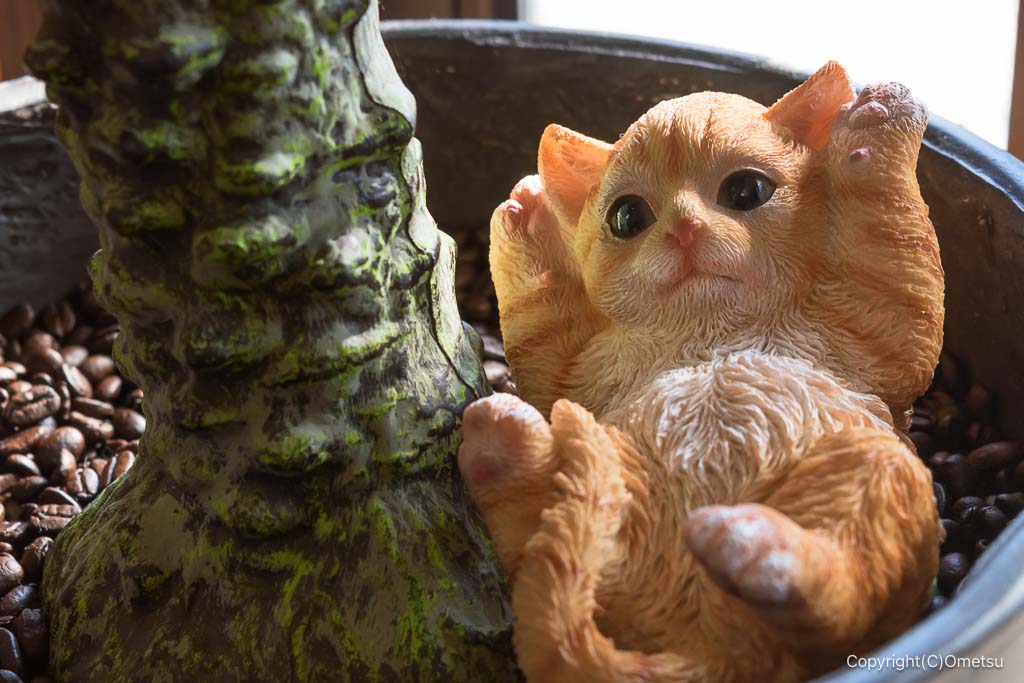 東京都・日の出町・おはなcafe211の店内の猫のフィギュア