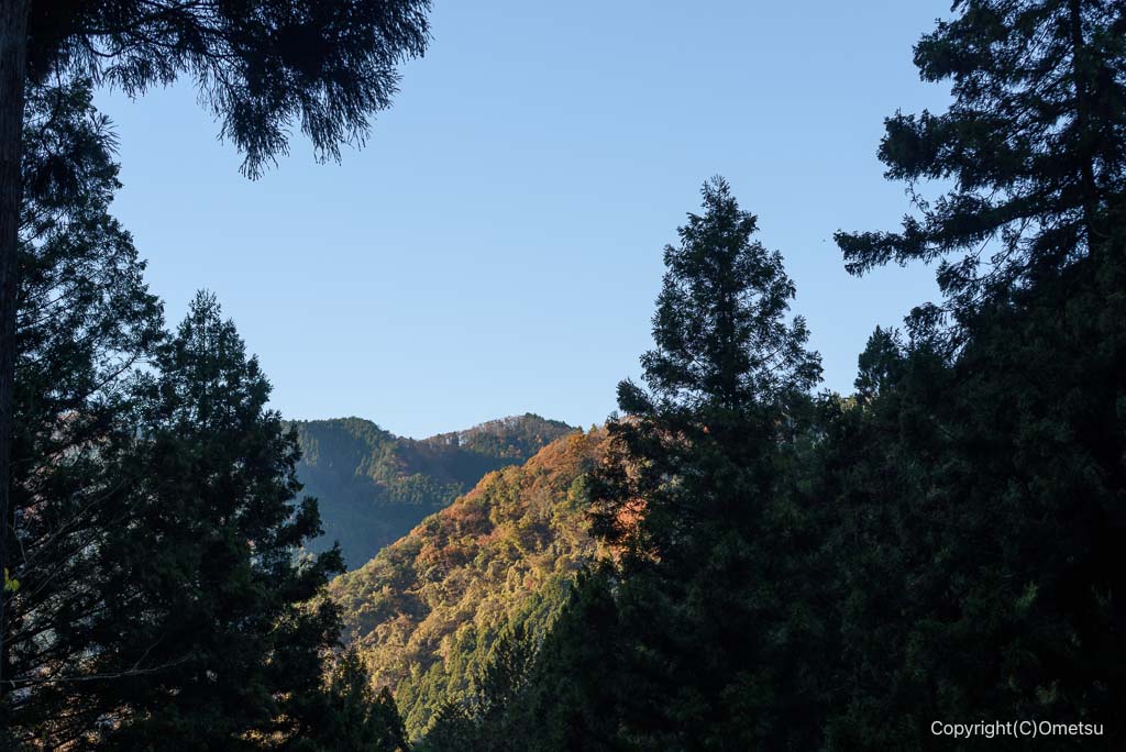 檜原村・千足の朝日を浴びた山々