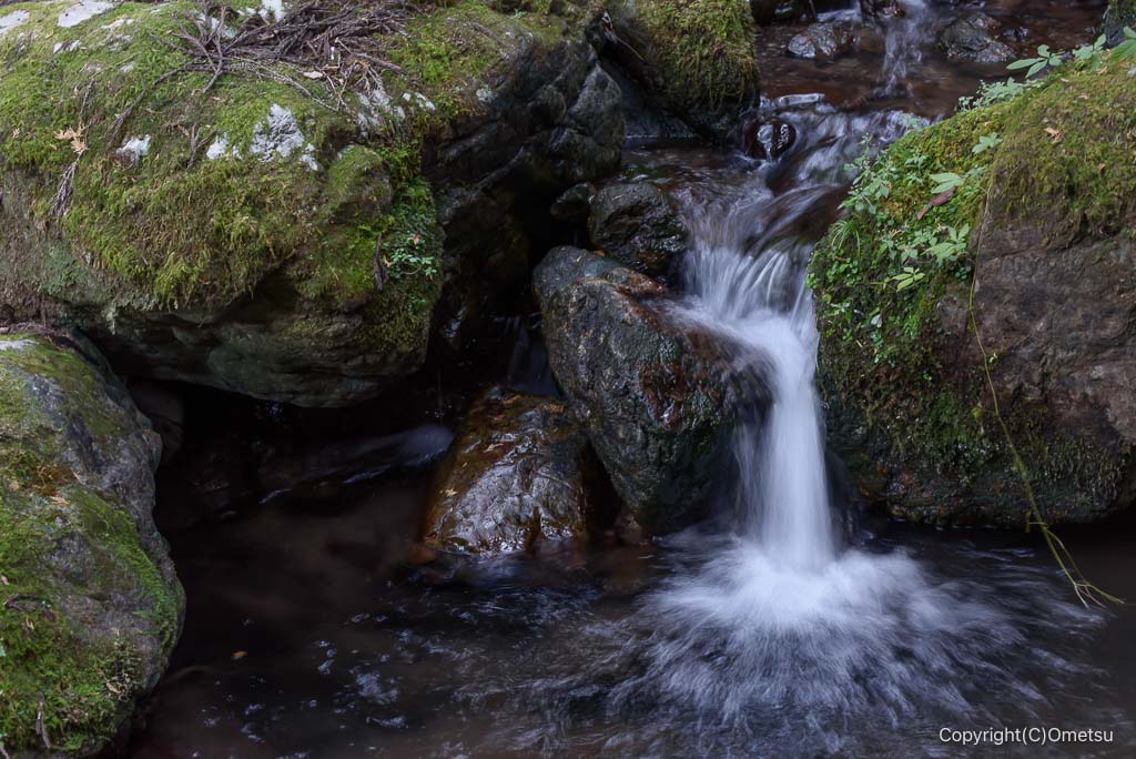 檜原村・綾滝登山道の、沢