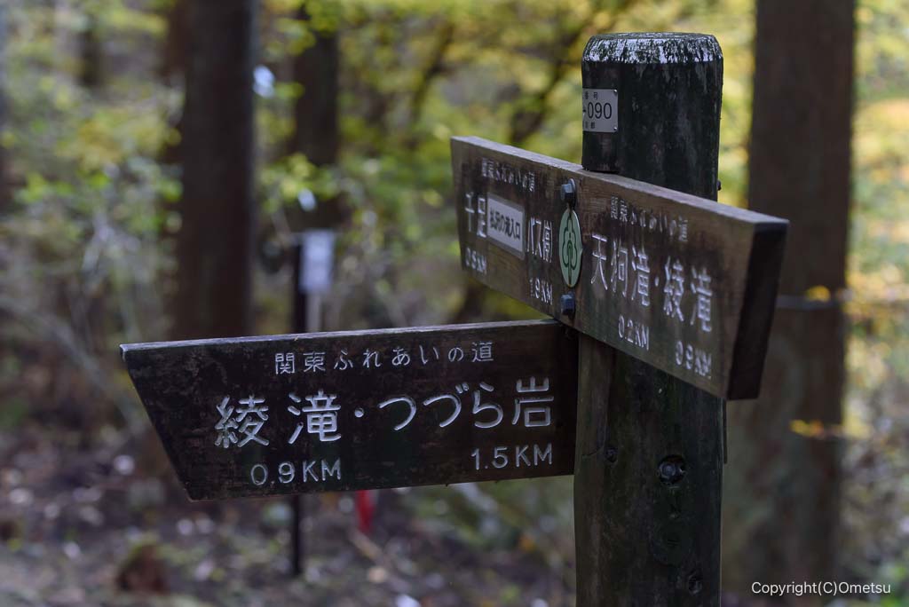 檜原村・綾滝付近の分岐路
