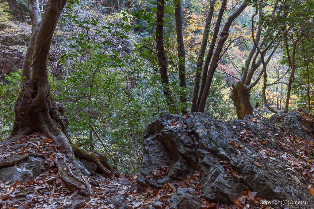 檜原村・天狗滝付近の岩場