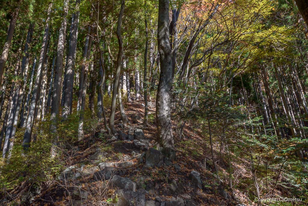 檜原村・綾滝付近の急登