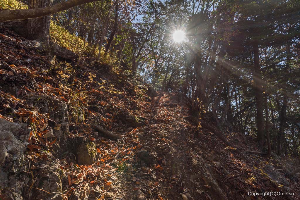 馬頭刈尾根・つづら岩付近の道