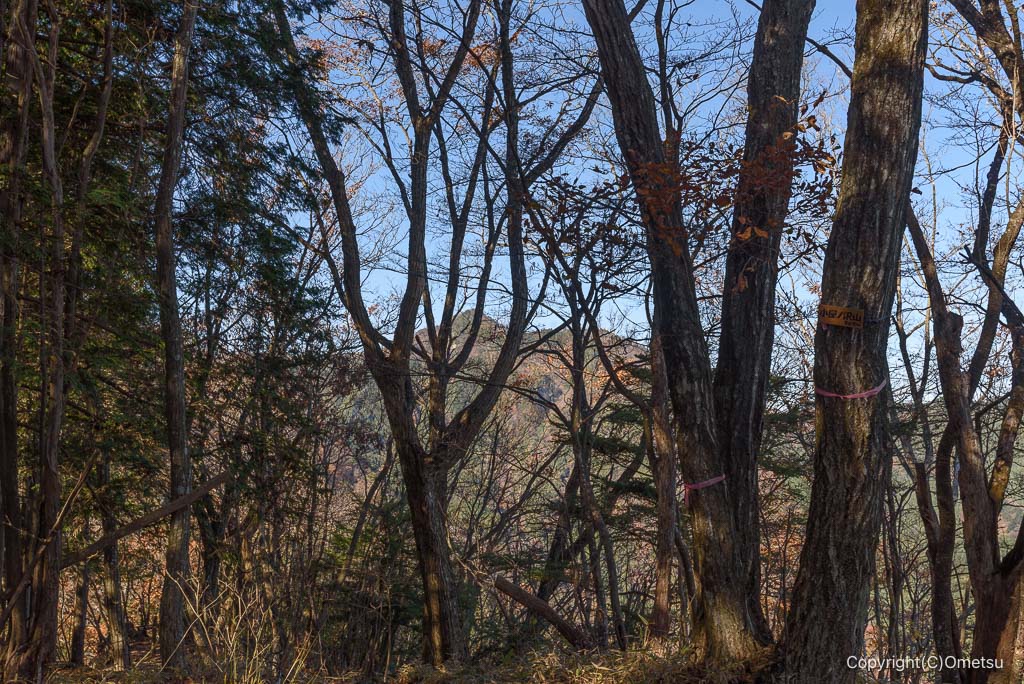 馬頭刈尾根・小屋ノ沢山