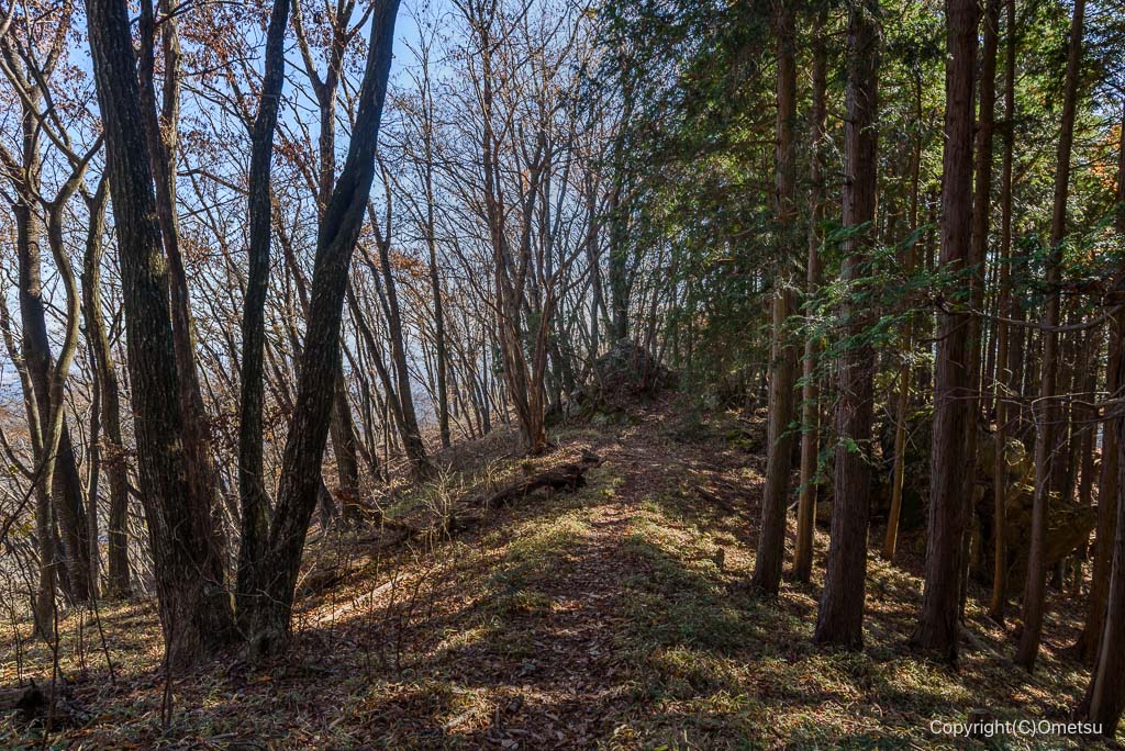 馬頭刈尾根の道