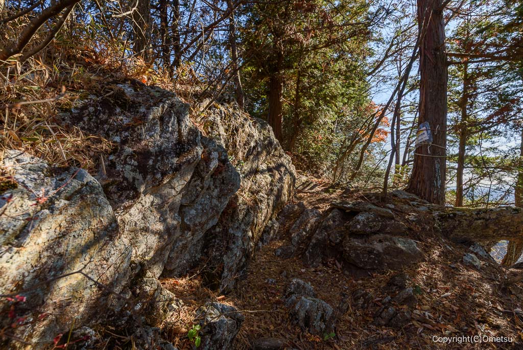 馬頭刈尾根の岩場