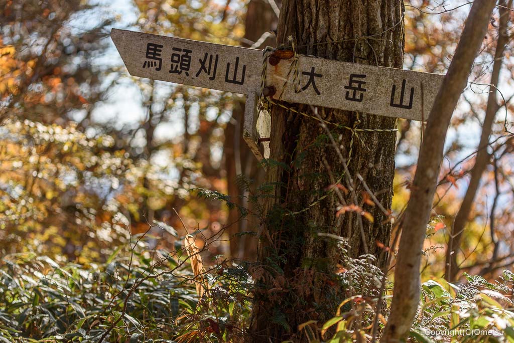 馬頭刈尾根の、古びた道標