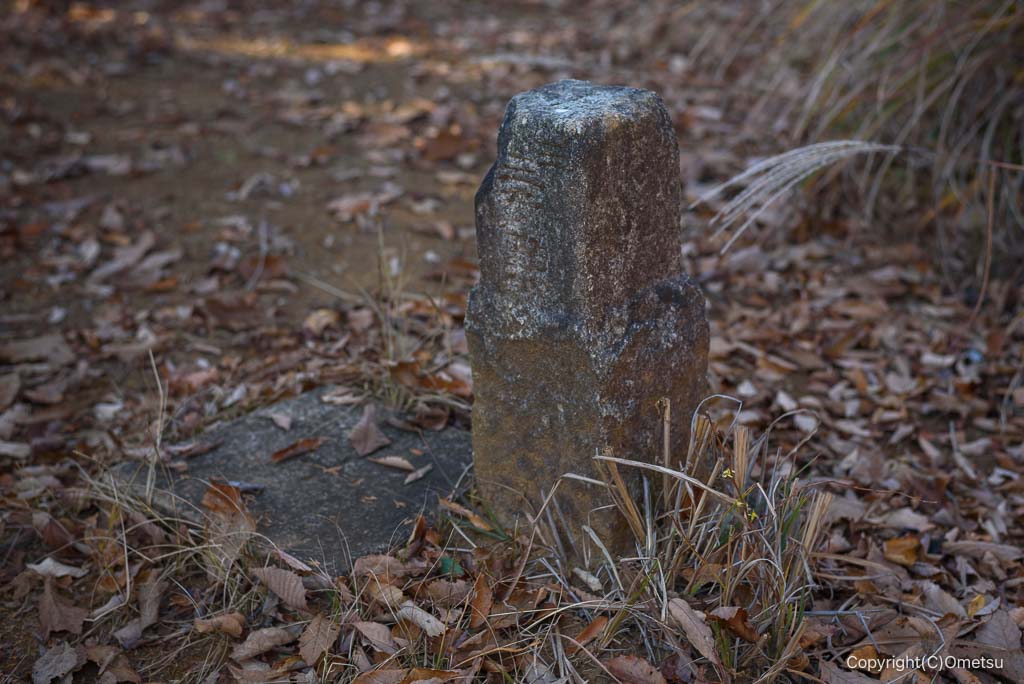 馬頭刈尾根・馬頭刈山の三角点