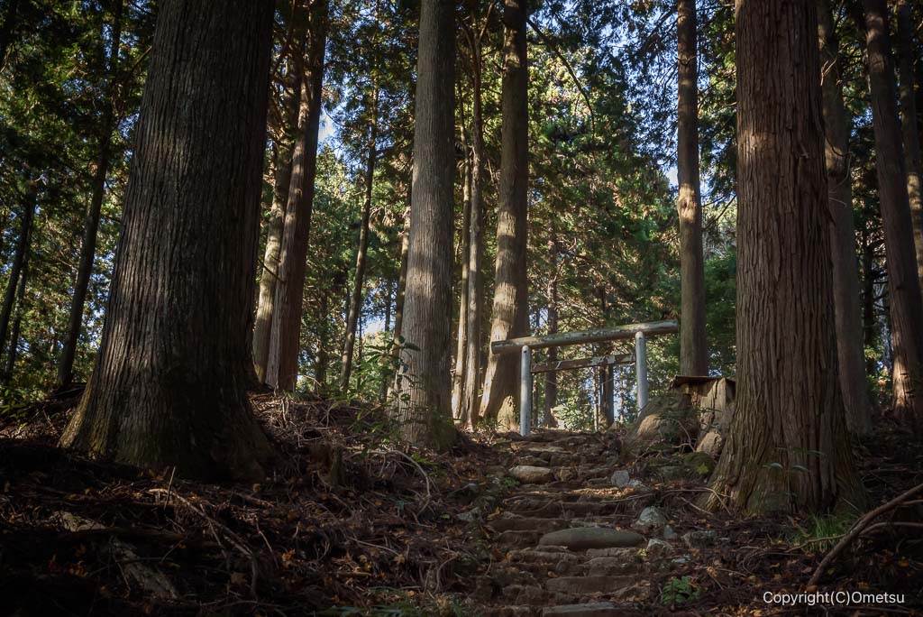 馬頭刈尾根・高明神社跡の参道・鳥居