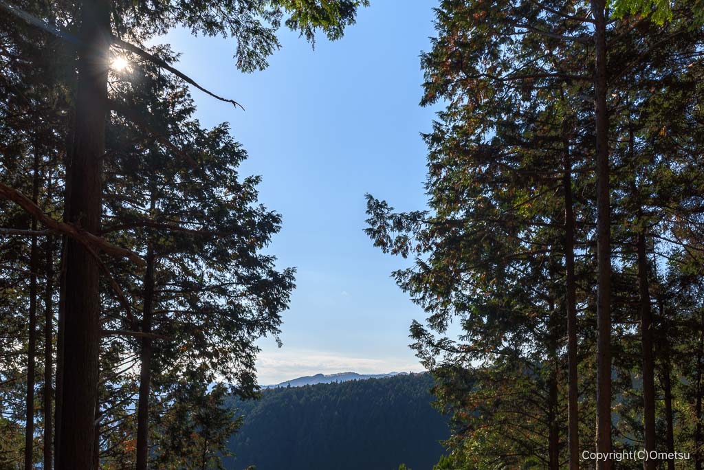 馬頭刈尾根・高明神社参道の、富士山スポット
