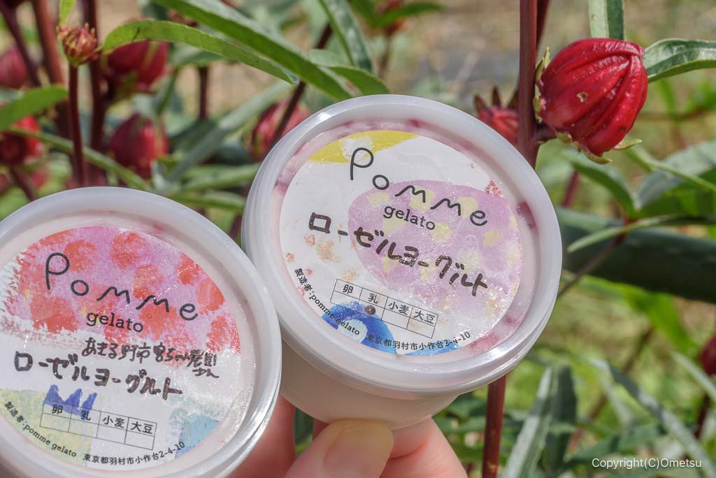 ポムジェラート・ローゼルヨーグルトジェラート