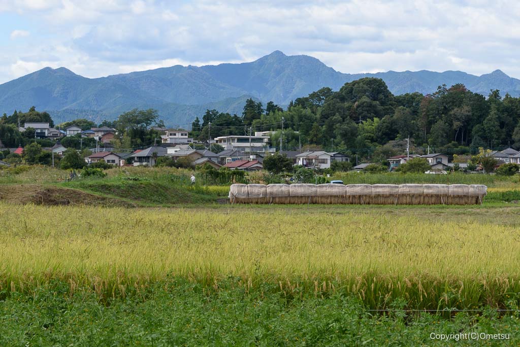 あきる野。宮ちゃん農園からの、大岳山