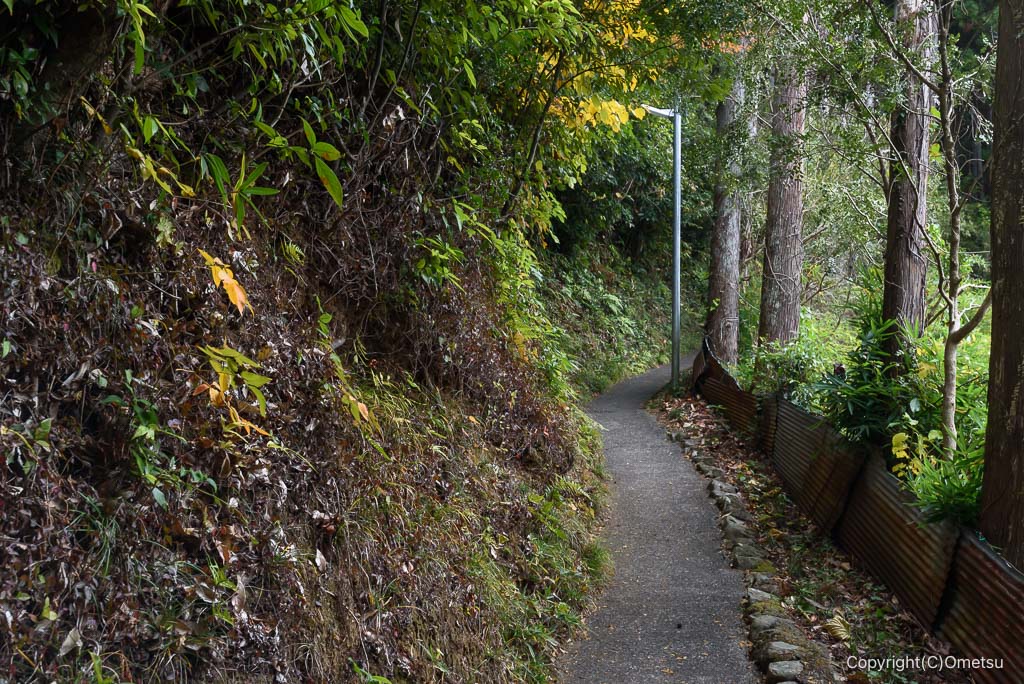 奥多摩・将門神社への参道
