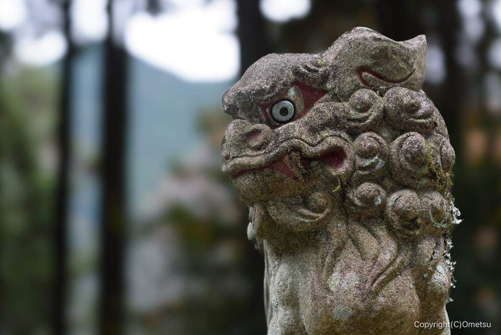 奥多摩・将門神社の、狛犬
