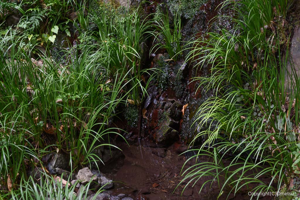 奥多摩・棚沢の、旧青梅街道の湧き水