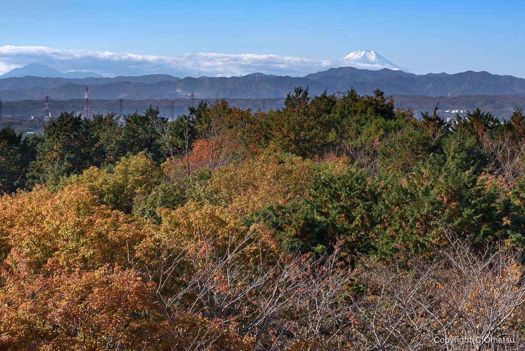 入間・桜山展望台からの富士山