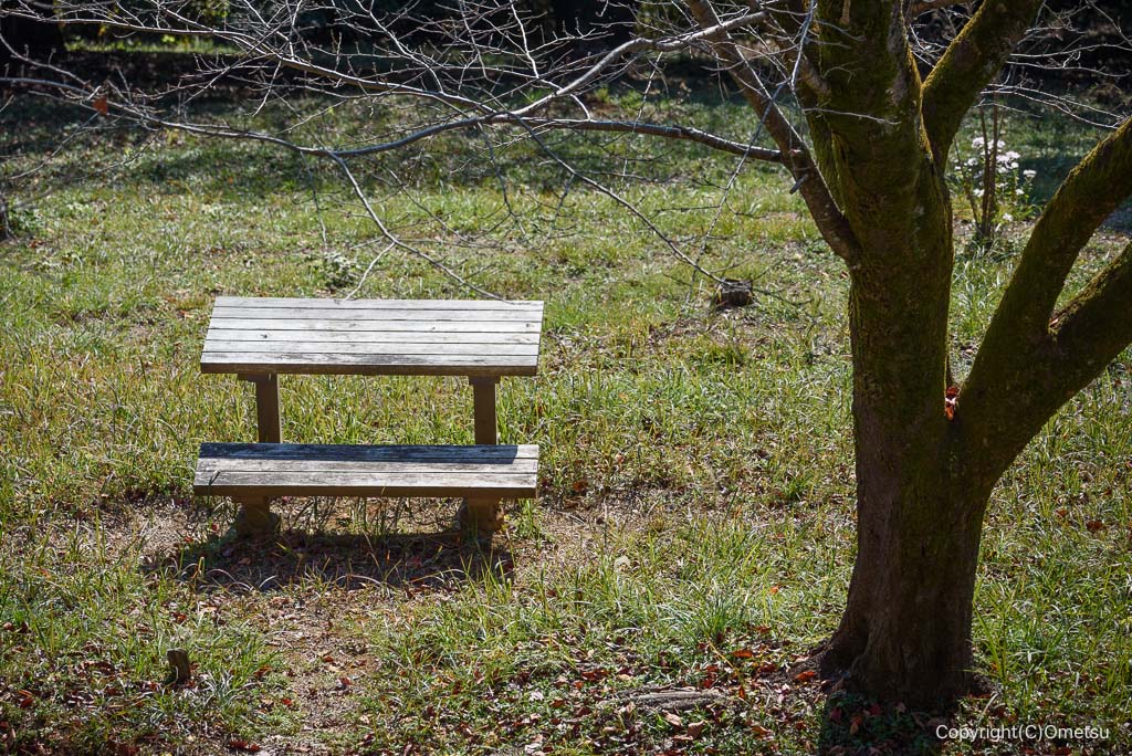 入間・桜山展望台付近のベンチ