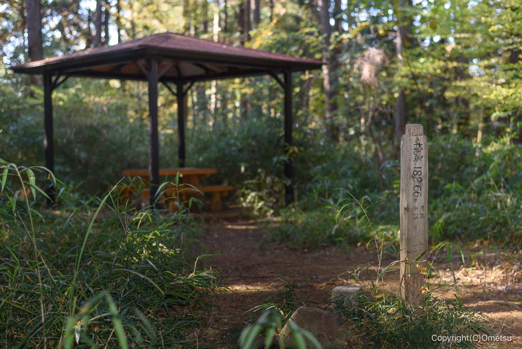 入間市・阿須山二等三角点