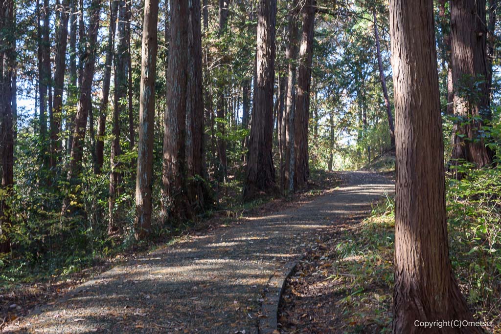 入間市・加治丘陵の遊歩道