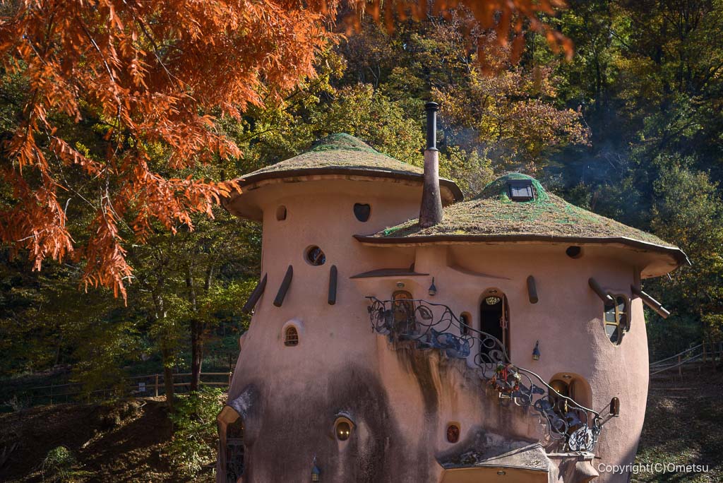 飯能・トーベ・ヤンソンあけぼの子どもの森公園の家