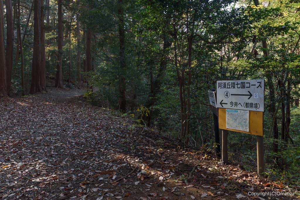 飯能市・阿須丘陵七国コース・都県境