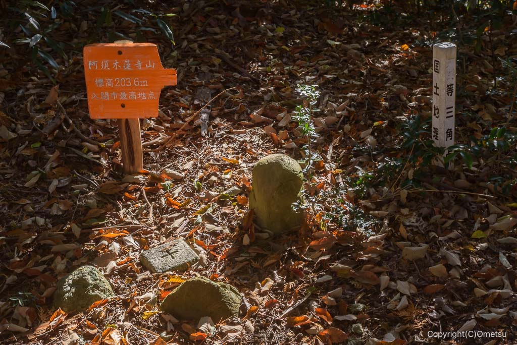 入間・阿須木蓮寺山の三角点