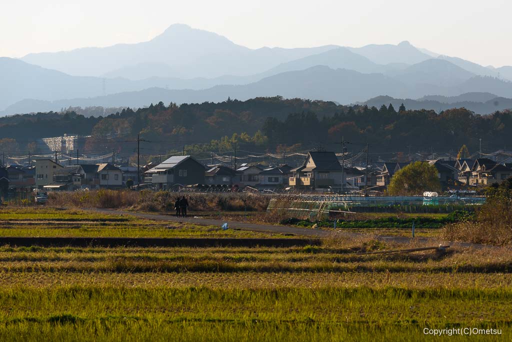 青梅市・城山橋付近からの、大岳山