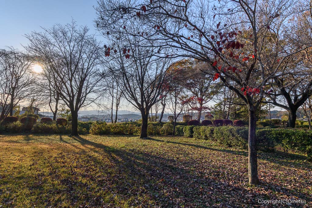 青梅市・藤橋城址跡