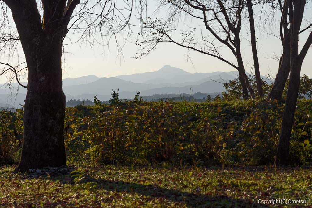 青梅市・藤橋城址跡からの大岳山