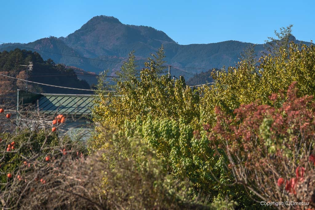 青梅・成木1丁目からの、大岳山