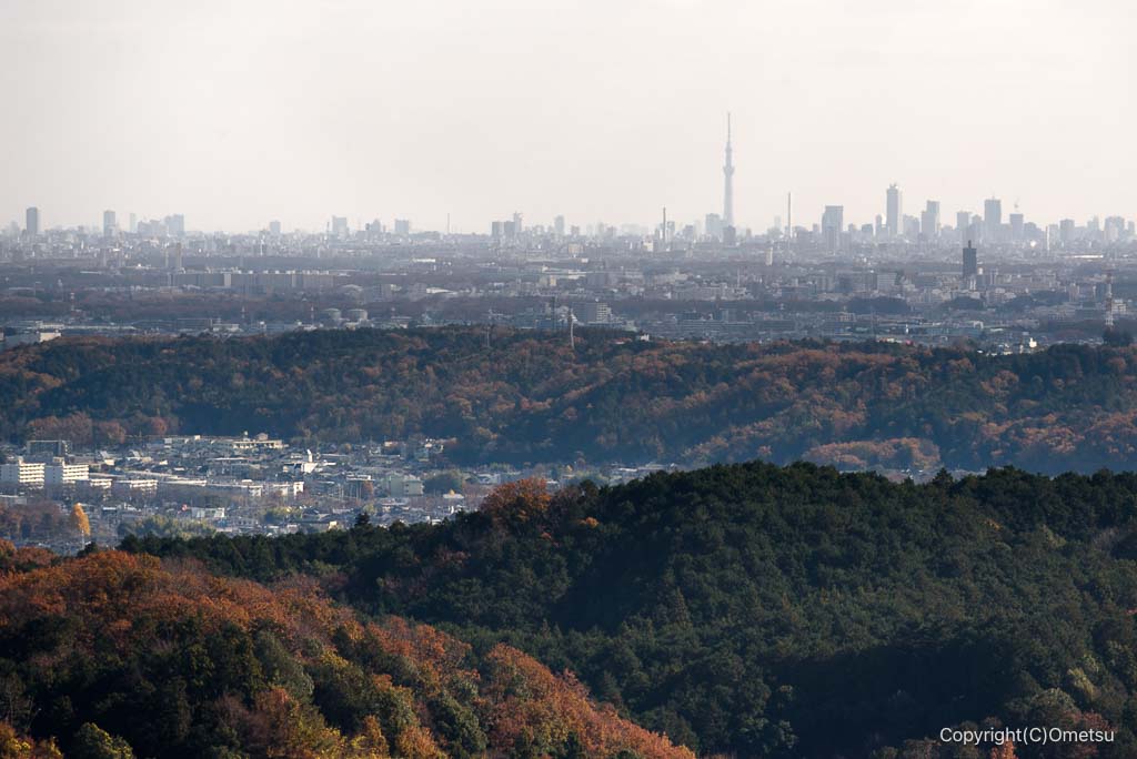 飯能・柏木山からのスカイツリー
