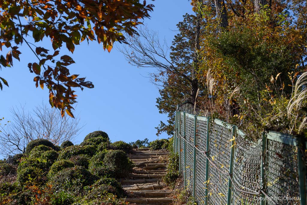 飯能・柏木山直下の道