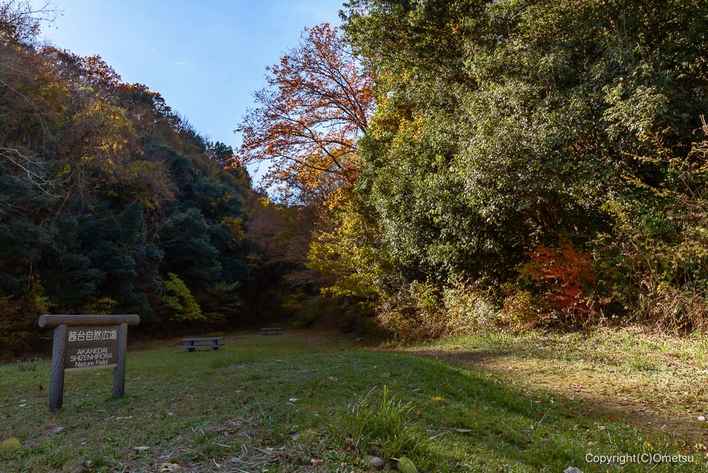 飯能・茜台自然広場